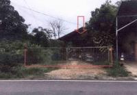 บ้านเดี่ยวหลุดจำนอง ธ.ธนาคารอาคารสงเคราะห์ พังงา ตะกั่วป่า บางม่วง
