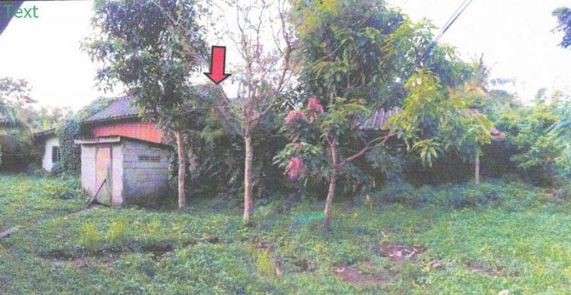 บ้านเดี่ยวหลุดจำนอง ธ.ธนาคารอาคารสงเคราะห์ ปัตตานี ปะนาเระ ดอน