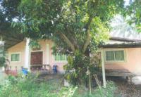 บ้านเดี่ยวหลุดจำนอง ธ.ธนาคารอาคารสงเคราะห์ ยโสธร ป่าติ้ว เชียงเพ็ง