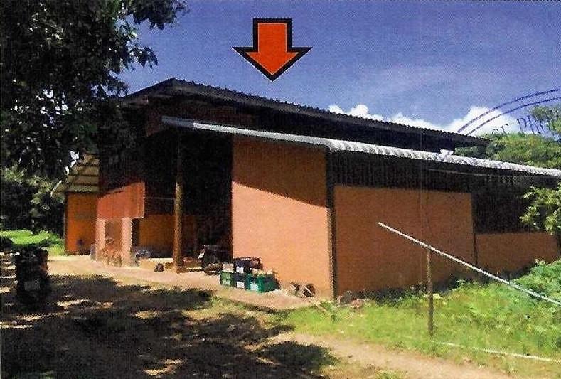 บ้านเดี่ยวหลุดจำนอง ธ.ธนาคารอาคารสงเคราะห์ ลำพูน แม่ทา ทาสบเส้า