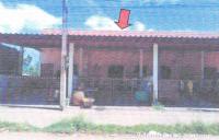 ทาวน์เฮ้าส์หลุดจำนอง ธ.ธนาคารอาคารสงเคราะห์ สุราษฎร์ธานี กาญจนดิษฐ์ ท่าทองใหม่