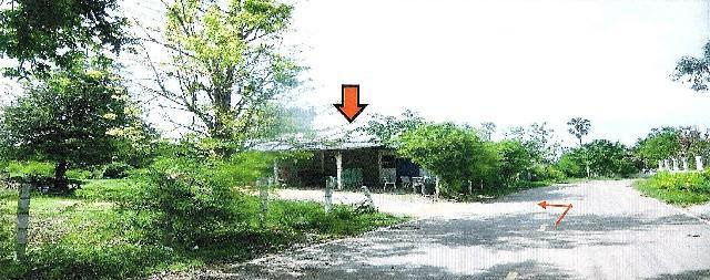 บ้านเดี่ยวหลุดจำนอง ธ.ธนาคารอาคารสงเคราะห์ นครราชสีมา โนนสูง โตนด