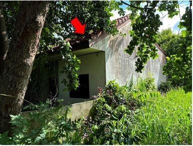 ทาวน์เฮ้าส์หลุดจำนอง ธ.ธนาคารอาคารสงเคราะห์ อุบลราชธานี เมืองอุบลราชธานี ในเมือง