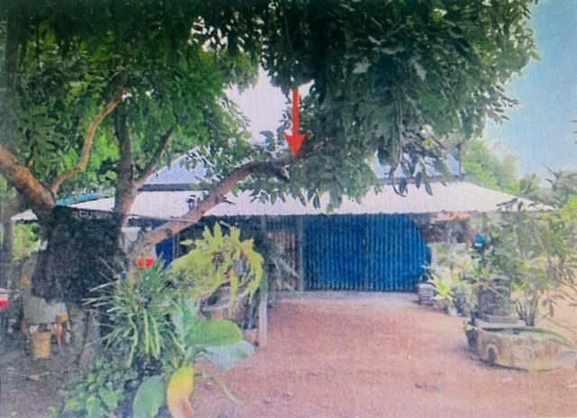 บ้านเดี่ยวหลุดจำนอง ธ.ธนาคารอาคารสงเคราะห์ ชัยนาท  เนินขาม