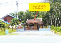 บ้านเดี่ยวหลุดจำนอง ธ.ธนาคารอาคารสงเคราะห์ นครศรีธรรมราช  หลักช้าง