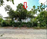 หลุดจำนอง ธ.ธนาคารอาคารสงเคราะห์   