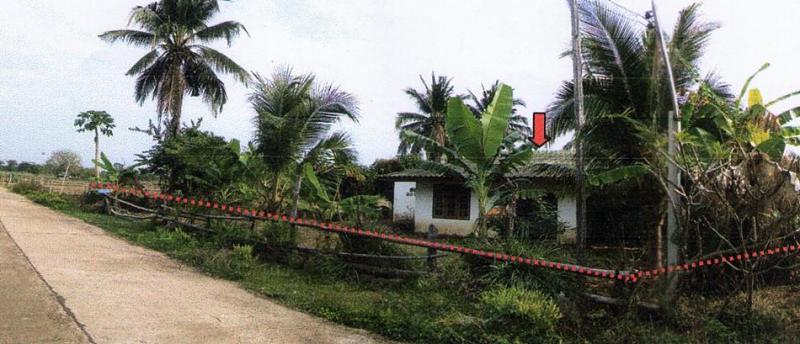 บ้านเดี่ยวหลุดจำนอง ธ.ธนาคารอาคารสงเคราะห์ สุรินทร์ ปราสาท -