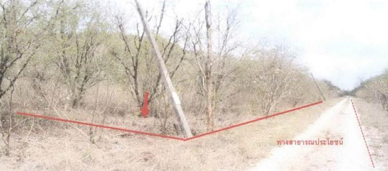 ที่ดินหลุดจำนอง ธ.ธนาคารอาคารสงเคราะห์ กาญจนบุรี เมืองกาญจนบุรี วังด้ง