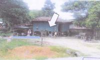 ที่ดินหลุดจำนอง ธ.ธนาคารอาคารสงเคราะห์ นราธิวาส บาเจาะ บาเจาะ