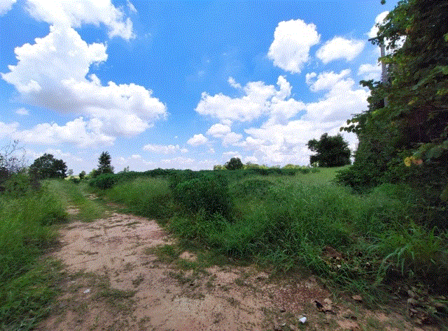 ที่ดินหลุดจำนอง ธ.ธนาคารกรุงเทพ อุดรธานี โนนสะอาด โคกกลาง