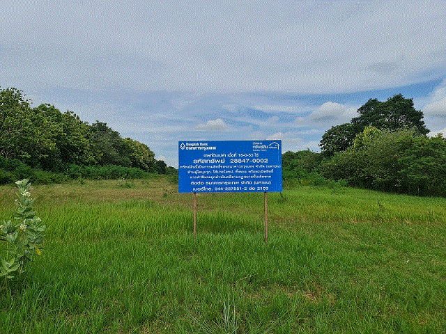 ที่ดินหลุดจำนอง ธ.ธนาคารกรุงเทพ นครราชสีมา ปากช่อง วังไทร