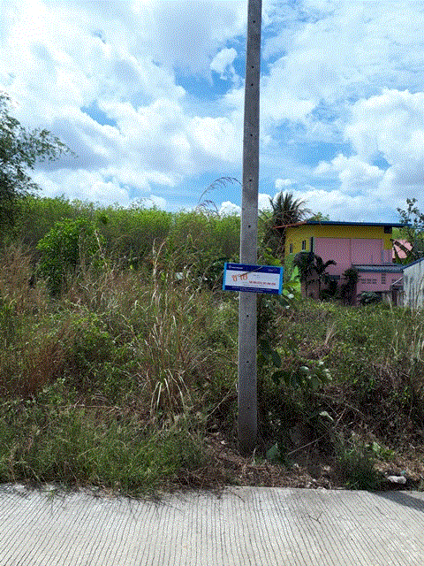 ที่ดินหลุดจำนอง ธ.ธนาคารกรุงเทพ สงขลา สะเดา สำนักขาม