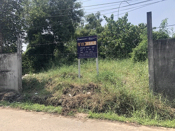 ที่ดินพร้อมสิ่งปลูกสร้าง (อื่น ๆ)หลุดจำนอง ธ.ธนาคารกรุงเทพ ปทุมธานี ธัญบุรี ประชาธิปัตย์