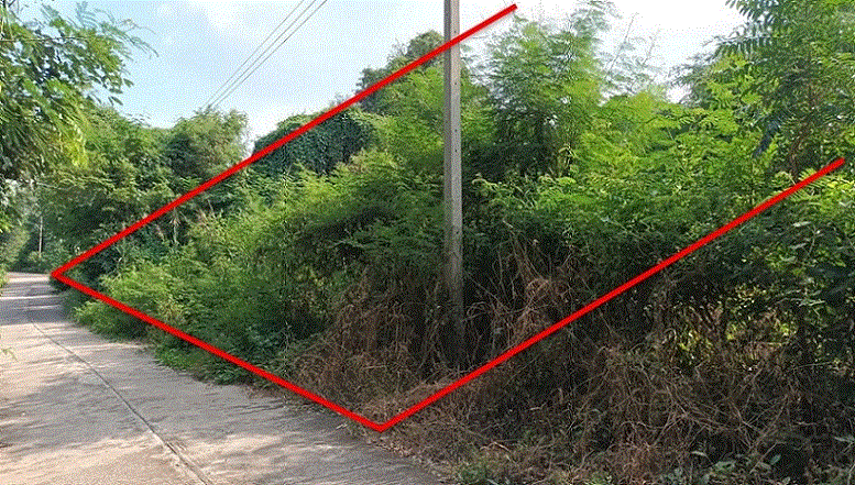 ที่ดินหลุดจำนอง ธ.ธนาคารกรุงเทพ กำแพงเพชร คลองขลุง แม่ลาด