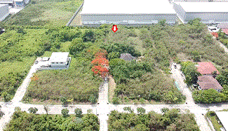 ที่ดินหลุดจำนอง ธ.ธนาคารกรุงเทพ สมุทรปราการ บางพลี บางโฉลง