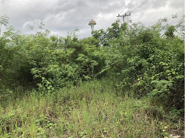 ที่ดินหลุดจำนอง ธ.ธนาคารกรุงเทพ เชียงใหม่ สันกำแพง แช่ช้าง