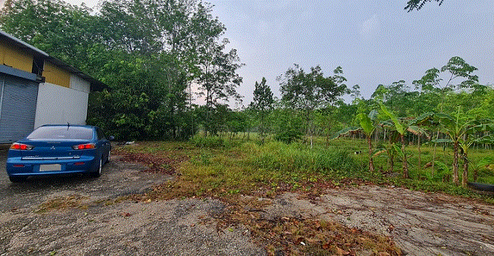 ที่ดินหลุดจำนอง ธ.ธนาคารกรุงเทพ สงขลา จะนะ ป่าชิง