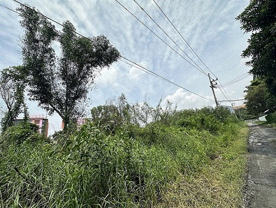 ที่ดินหลุดจำนอง ธ.ธนาคารกรุงเทพ ปทุมธานี คลองหลวง คลองหนึ่ง