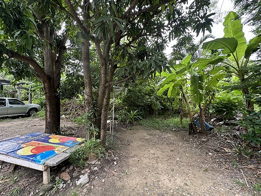 ที่ดินหลุดจำนอง ธ.ธนาคารกรุงเทพ กรุงเทพมหานคร บางเขน ท่าแร้ง