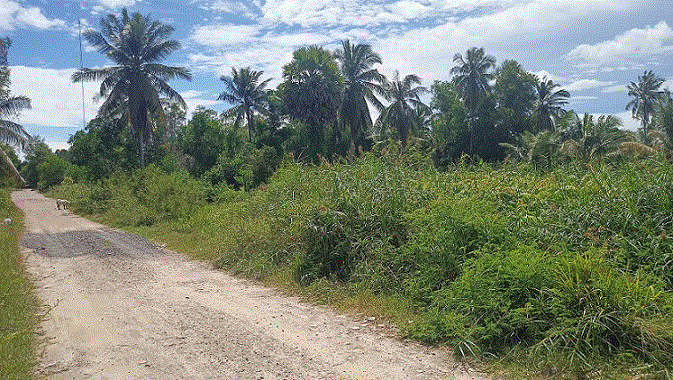 ที่ดินหลุดจำนอง ธ.ธนาคารกรุงเทพ สงขลา เมืองสงขลา เกาะแต้ว