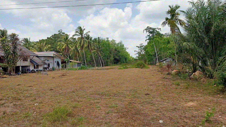ที่ดินหลุดจำนอง ธ.ธนาคารกรุงเทพ สงขลา คลองหอยโข่ง คลองหอยโข่ง