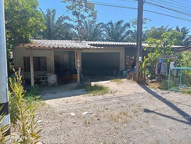 บ้านหลุดจำนอง ธ.ธนาคารกรุงเทพ สตูล ทุ่งหว้า นาทอน