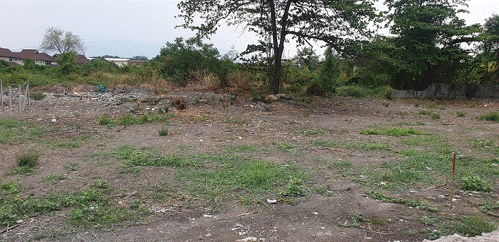 ที่ดินหลุดจำนอง ธ.ธนาคารกรุงเทพ เชียงใหม่ สันทราย สันทรายน้อย