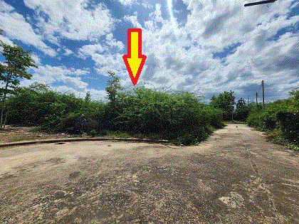 ที่ดินหลุดจำนอง ธ.ธนาคารกรุงเทพ เพชรบุรี ชะอำ ชะอำ