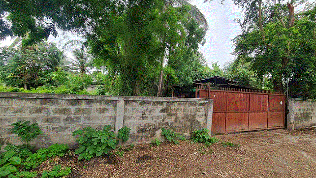 โรงเรือนปศุสัตว์หลุดจำนอง ธ.ธนาคารกรุงเทพ ตาก เมืองตาก ไม้งาม